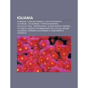   Iguana iguana (Spanish Edition) (9781231406885) Source Wikipedia