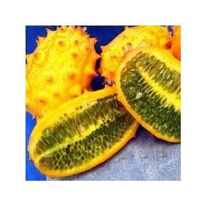  Kiwano  Horned Melon 3 Seedsrare Patio, Lawn & Garden