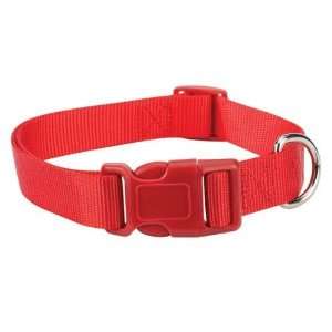 Zack & Zoey Nylon Dog Puppy Collar 6 10 In Tomato Red: Pet 
