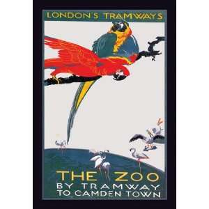 The London Zoo: The Macaw 12x18 Giclee on canvas:  Home 