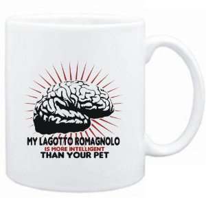   Lagotto Romagnolo IS MORE INTELLIGENT THAN YOUR PET !  Dogs: Sports