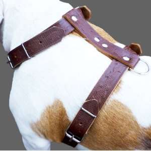  Brown Genuine Leather Dog Harness Large. 27 37 Chest, 1 