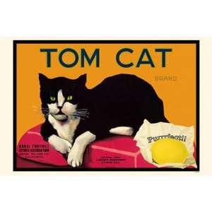  Tom Cat Poster