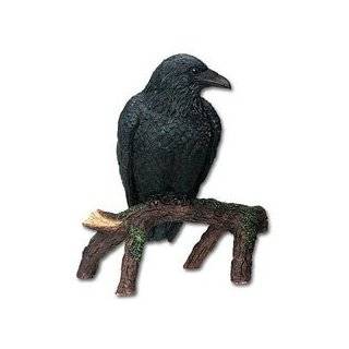  Raven on Skull Collectible Bird Crow Skeleton Figurine 