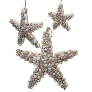  Sea Shell Stars Wall Decor Ornaments Set of 3: Home 