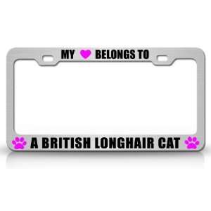  MY HEART BELONGS TO AN BRITISH LONGHAIR Cat Pet Steel 