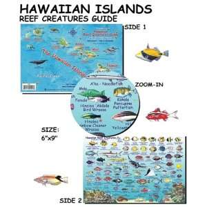  Franko Maps Hawaiian Islands Reef Creatures Guide Sports 