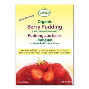Organic Berry Pudding Powder Mix  Grocery & Gourmet Food