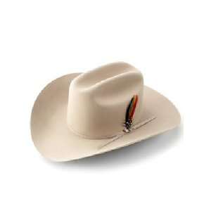  Stetson Rancher 4x Beaver Hat