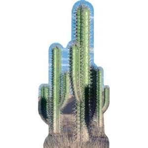  Cactus Group Lifesize Cardboard Standup Toys & Games