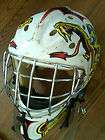 Ice Hockey Goalie Mask