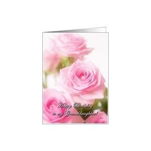  Pale pink roses   Happy Birthday to my Granddaughter Card 