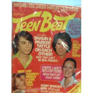    TEEN BEAT MAGAZINE   NOVEMBER 1977 ISSUE !: TEEN BEAT: Books