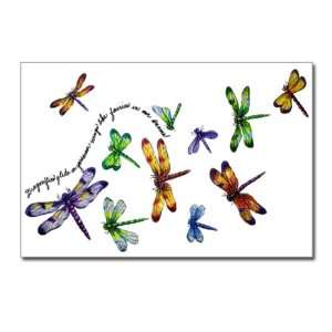   Pack) Dragonflies Glide on Gossamer Wings Dragonfly 