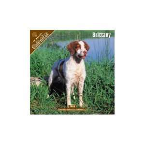  2008 Brittany 2008 16 Month Wall Calendar **IN STOCK NOW 