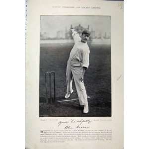   Alec Hearne Webbe 1895 Cricket Sport Bowling Ball Bat: Home & Kitchen