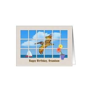   Grandsons Birthday Card with Pelican and Flowers Card Toys & Games