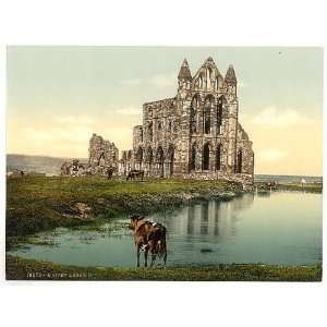   Reprint of Whitby, the abbey, II., Yorkshire, England