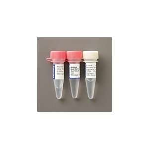  Hind III Restriction Enzyme (Promega) Toys & Games