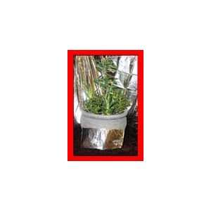  Grow Mylar Gardening Hydroponics Botany HPS Patio, Lawn & Garden