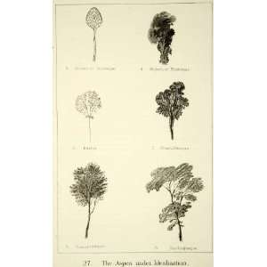  1872 Lithograph John Ruskin Aspen Under Idealization Tree 