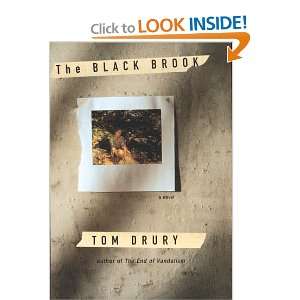  The Black Brook (9780395701942): Tom Drury: Books