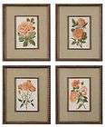 framed botanical prints set  