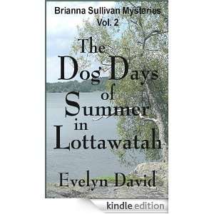   (Brianna Sullivan Mysteries) Evelyn David  Kindle Store