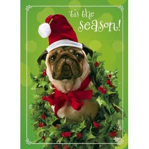  Avanti Plus Christmas Cards, Holly day Pug, 10 Count 