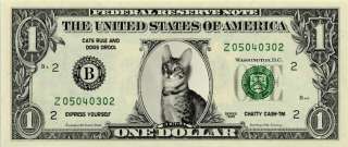 BENGAL CAT Novelty U.S. Dollar Bill Bookmark  