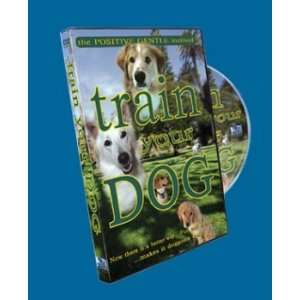  Train Your Dog   The Positive Gentle Method   DVD Kitchen 