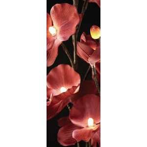  Lighted Merlot Orchid With 16 Lights   2 Branches   33 