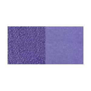  Smooch Accent Ink 2 Pack   Sugarberry/Grape Soda: Arts 