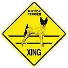 toy fox terrier  