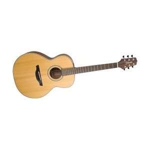  Takamine Gs430s G Nex Acoustic Guitar Satin Cedar Musical 