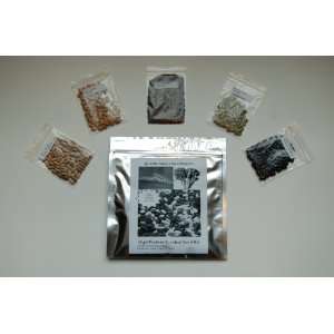  Survival Seed Kit, High Protein, 100% Heirloom/non GMO 