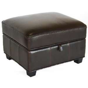   Furniture  Agustus Brown Leather Storage Ottoman