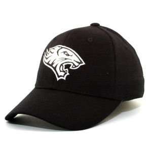   Towson University Tigers Top of the World NCAA Black White Hat: Sports