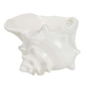  Conch Seashell Ceramic Serving Bowl