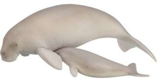 Mini 3D Museum Taxidermy Anatomy Model Manatee Dugong  