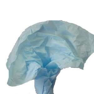  Sky Blue Wrap Tissue Paper 20 X 30   48 Sheets: Health 