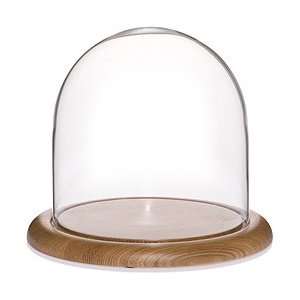  Glass Doll Dome with Oak Base   8 x 8