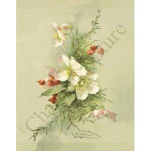  Botanical Victorian Print Christmas Rose   Helleborus 