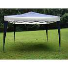 Outdoor Canopy Shade Tent Garden Sun Shelter 10 x 10 Camping New