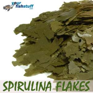 Bulk Your Fish Spirulina Flakes Aquarium Fish Food 5LBS  