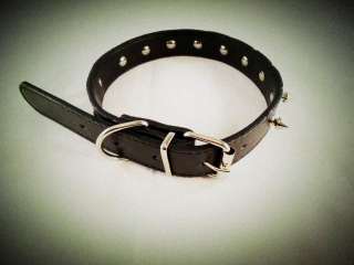 one order come with one Dog Pet Personalized Collar adjustable size