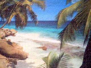 PUZZLE 1500 Teile Bild Puzzlebild Seychellen Palmen in Niedersachsen 