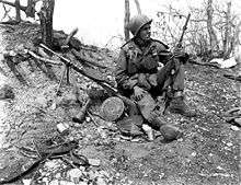   M2 Carbine Stock rifle wood Buttplate, Vietnam Korean war WW2  