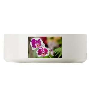  Large Dog Cat Food Water Bowl Phalaenopsis Orchids 