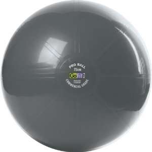   Stability Ball & Core Performance Training Dvd [75 687339202765  